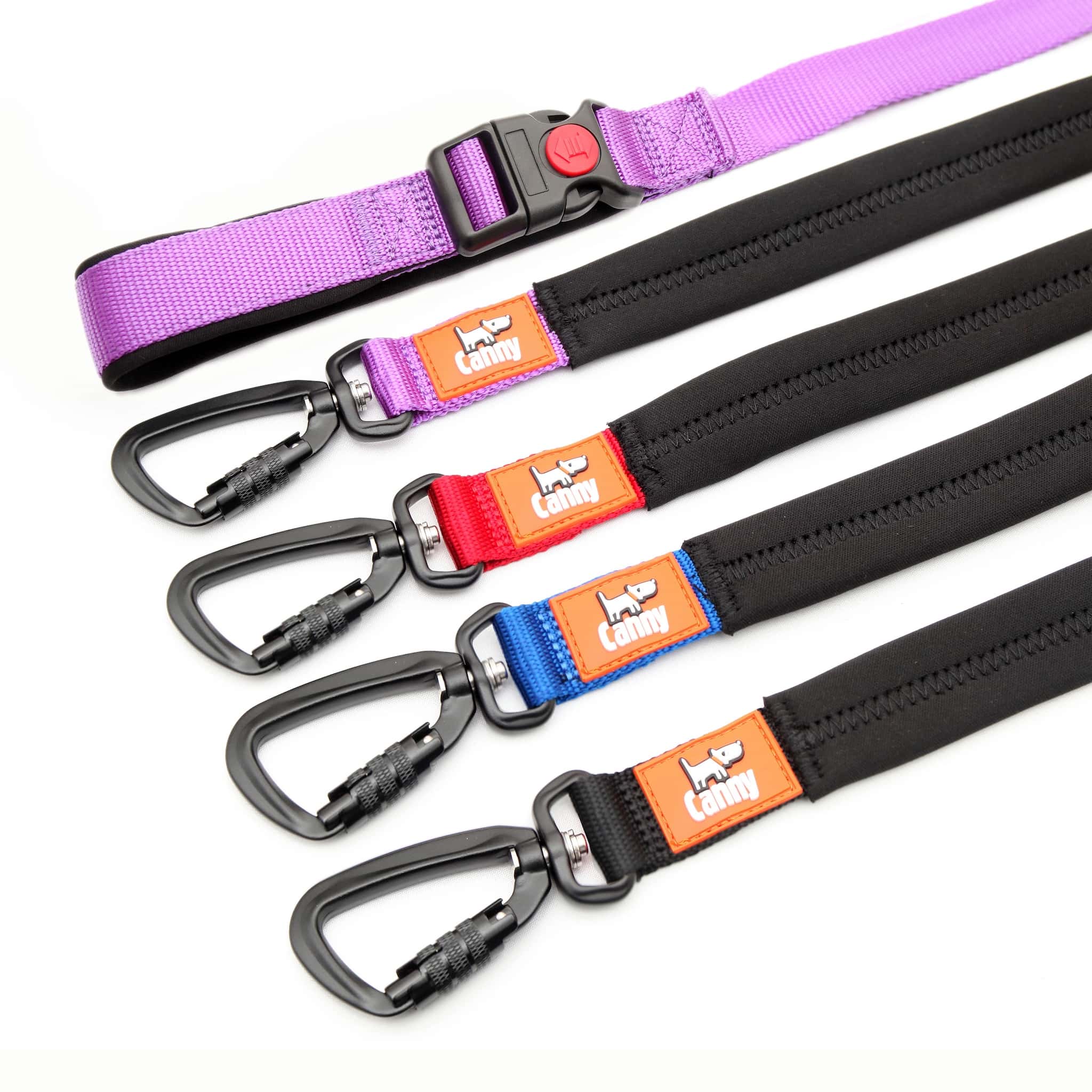 Canny Lead (Canny Company) - SnowPaw Store - Canny Company - Dog Lead